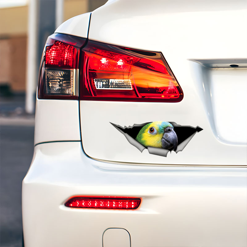 DK582# Blue Fronted Amazon Par - đánh giá và giá Car Accessories Amazon
