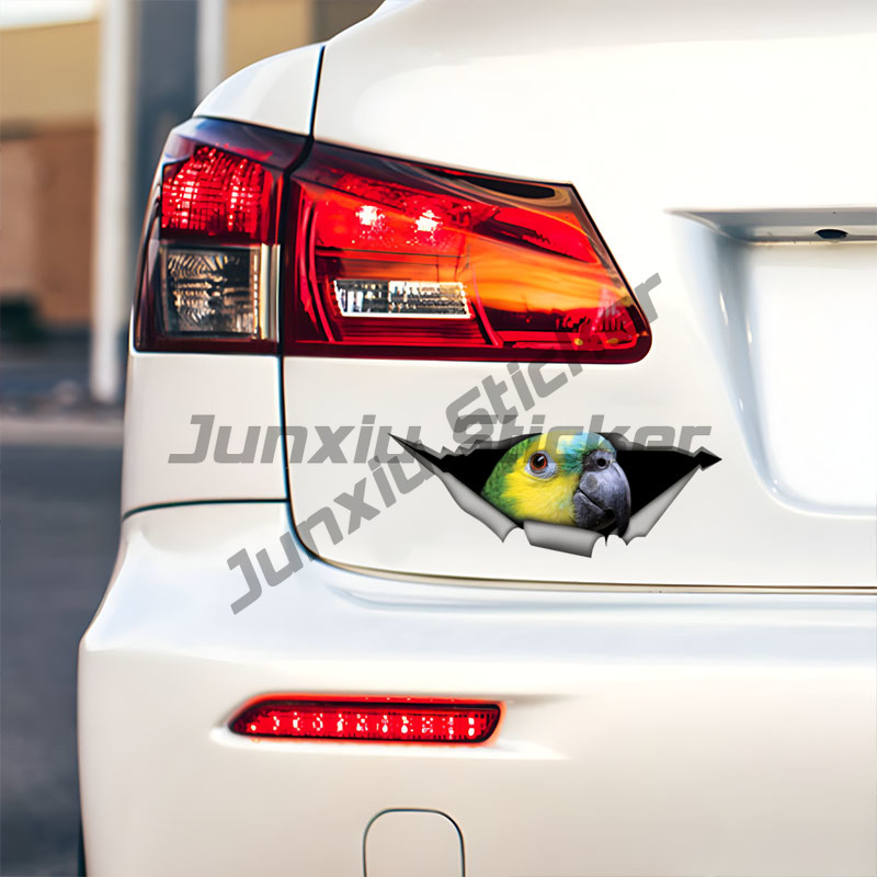 Blue Fronted Amazon Parrot Car - đánh giá và giá Car Accessories Amazon