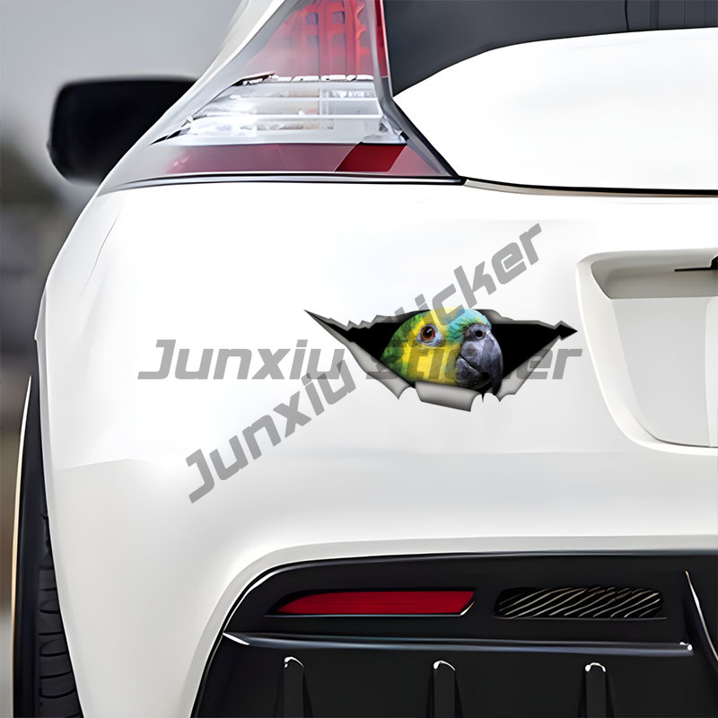 Blue Fronted Amazon Parrot Car - đánh giá và giá Car Accessories Amazon
